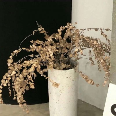 任县FurryQQ群介绍